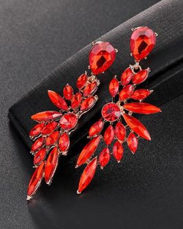 Ear Rings DDJ-324