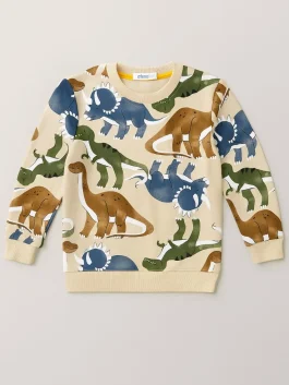 Kids Sweat Shirt Combo 2